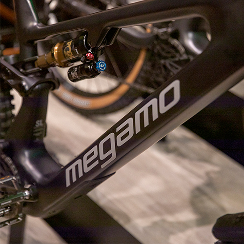 Categor�a E-Bike